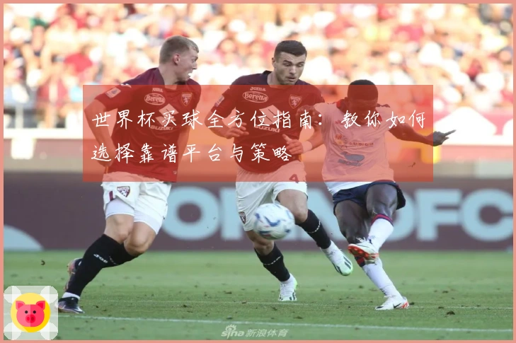 世界杯买球全方位指南：教你如何选择靠谱平台与策略