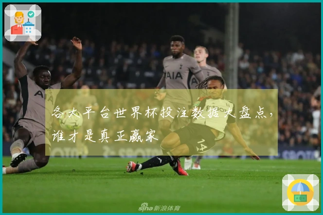 各大平台世界杯投注数据大盘点，谁才是真正赢家