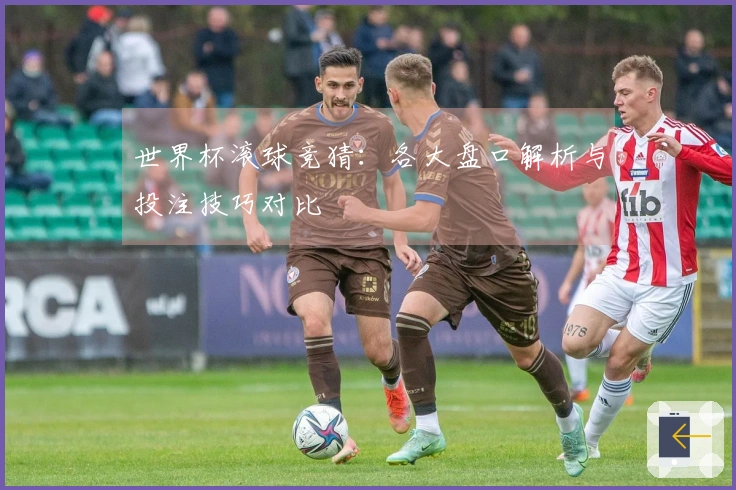 世界杯滚球竞猜：各大盘口解析与投注技巧对比