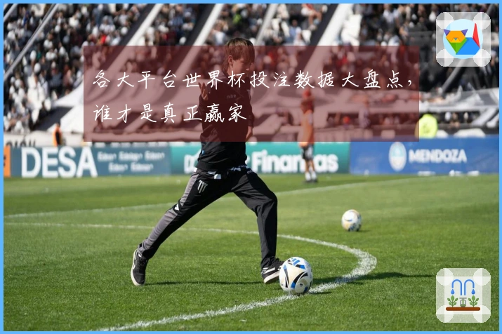 各大平台世界杯投注数据大盘点，谁才是真正赢家