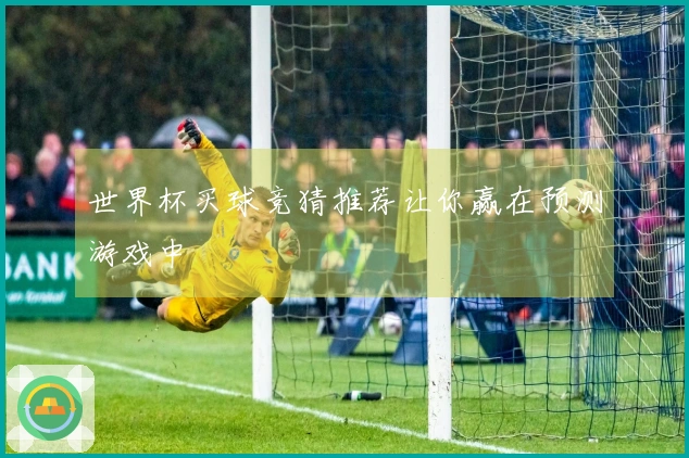 世界杯买球竞猜推荐让你赢在预测游戏中