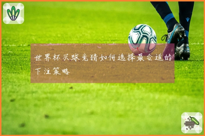 世界杯买球竞猜如何选择最合适的下注策略